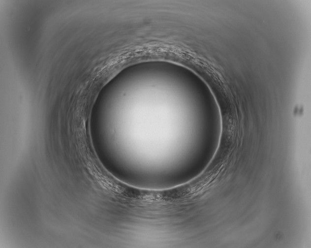 X0000092031489200709061603