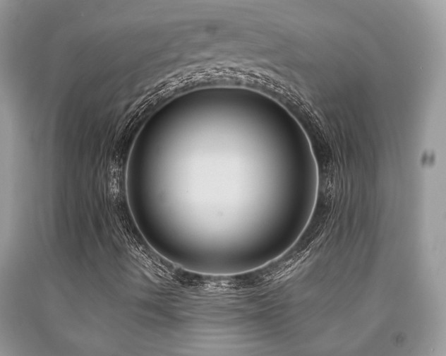 X0000092031490200709061603