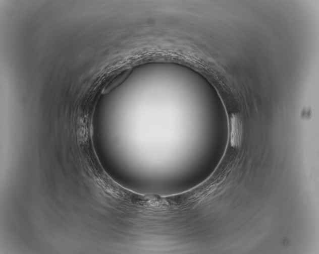X0000092031491200709061603