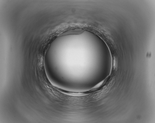 X0000092031492200709061603