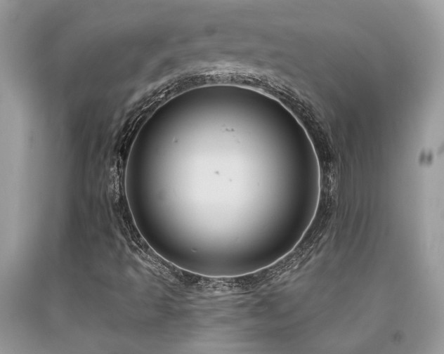 X0000092031493200709061603