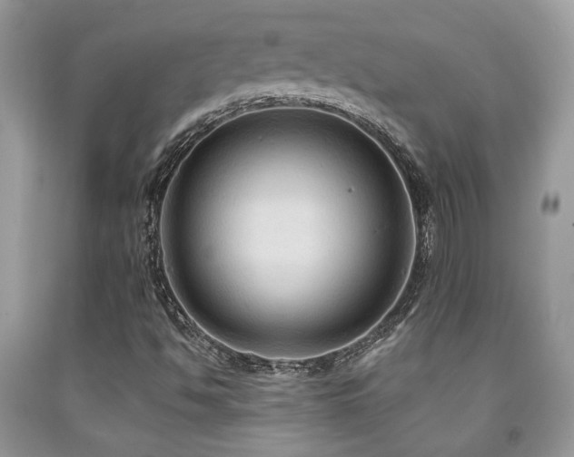 X0000092031494200709061603