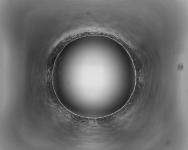 X0000092031495200709061603