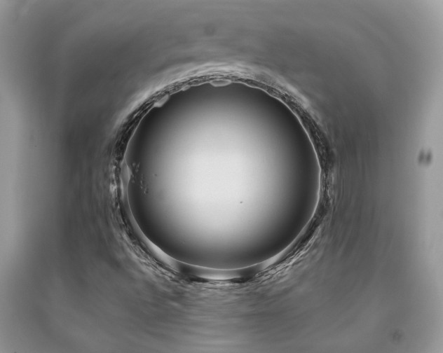 X0000092031496200709061603