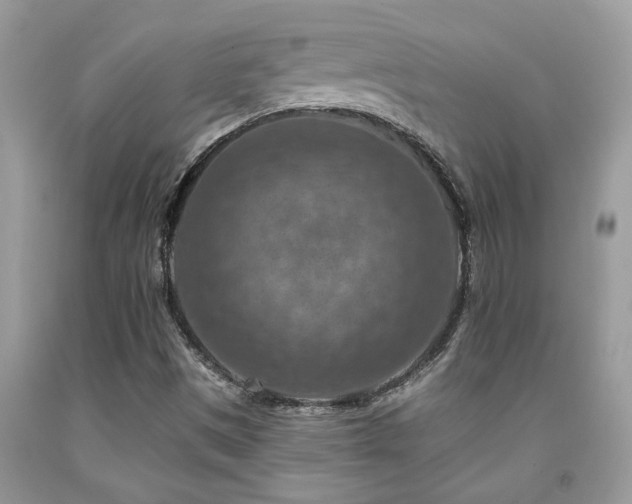 X0000092031497200709061603