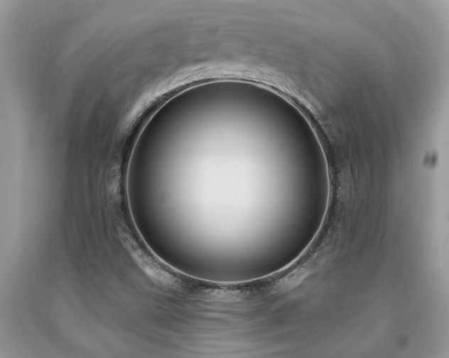 X0000092031499200709061603