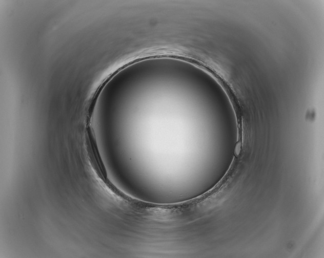 X0000092031500200709061603