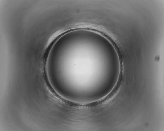 X0000092031501200709061603