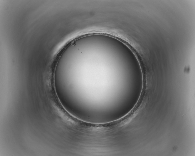 X0000092031502200709061603