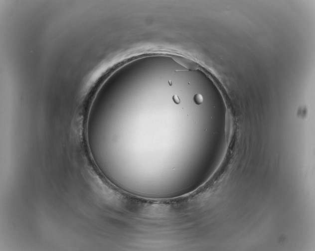 X0000092031503200709061603