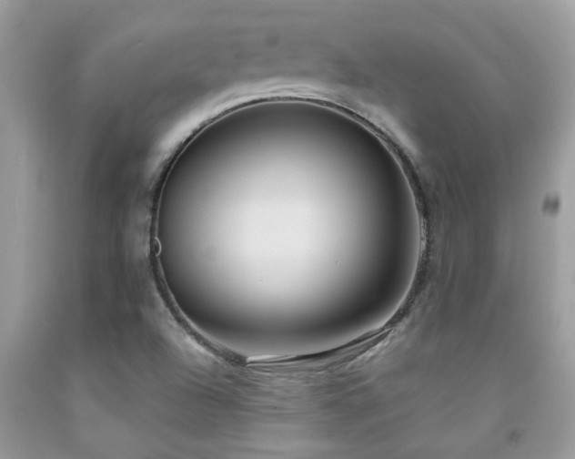 X0000092031504200709061603