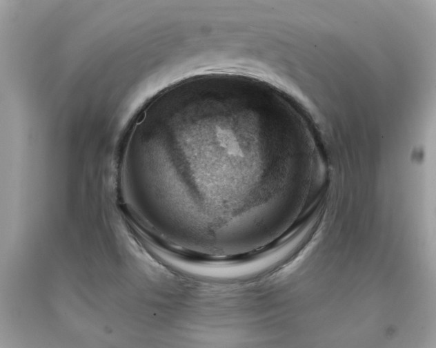 X0000092031506200709061603