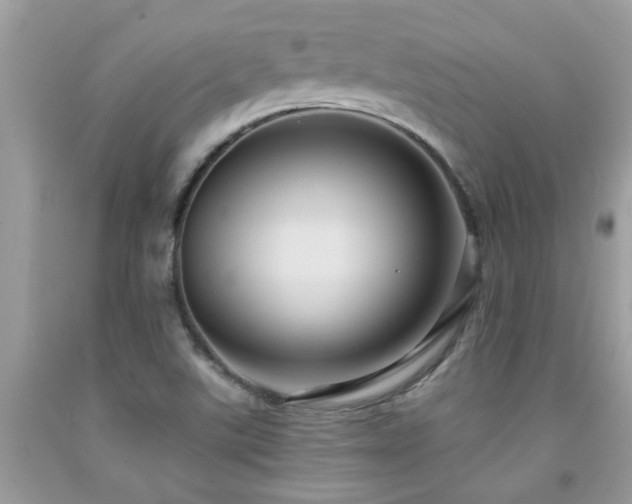 X0000092031507200709061603