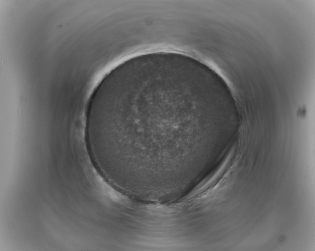 X0000092031508200709061603