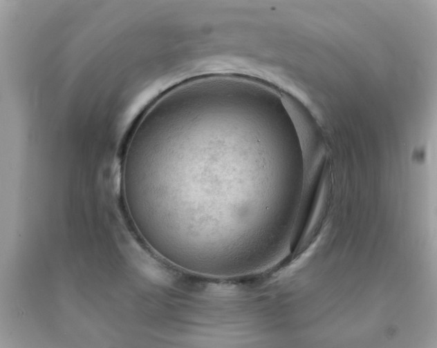 X0000092031509200709061603