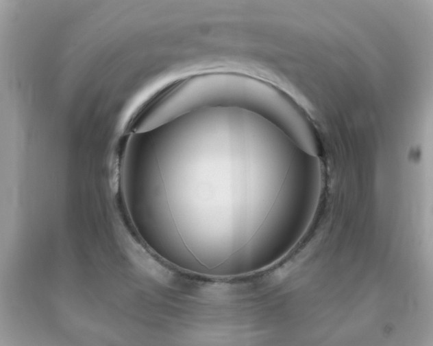 X0000092031510200709061603