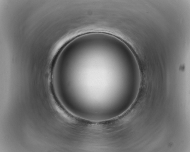 X0000092031511200709061603