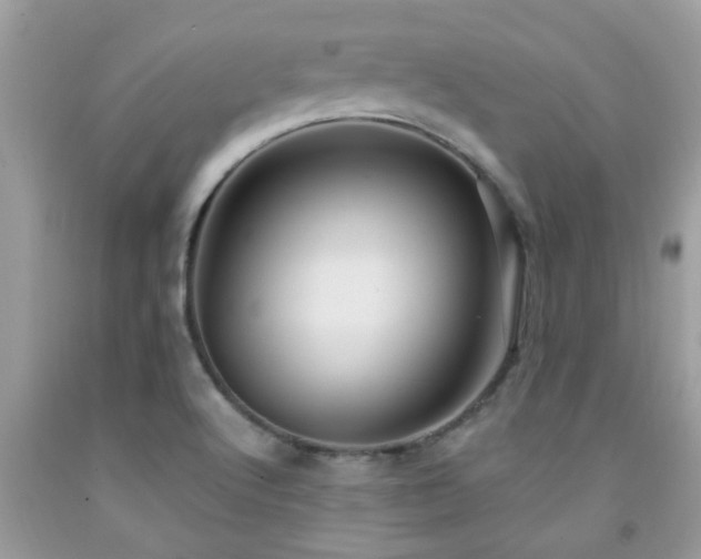 X0000092031512200709061603