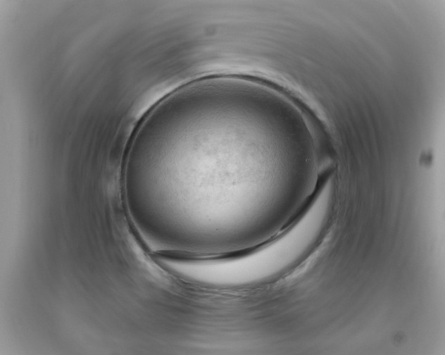 X0000092031513200709061603