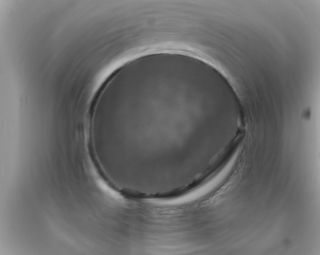 X0000092031515200709061603