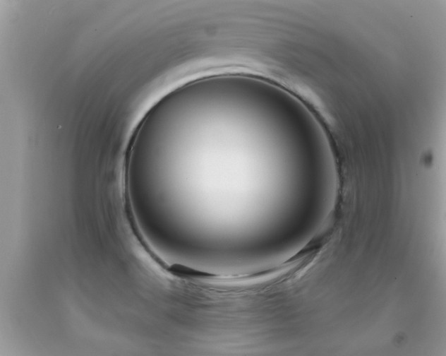 X0000092031516200709061603