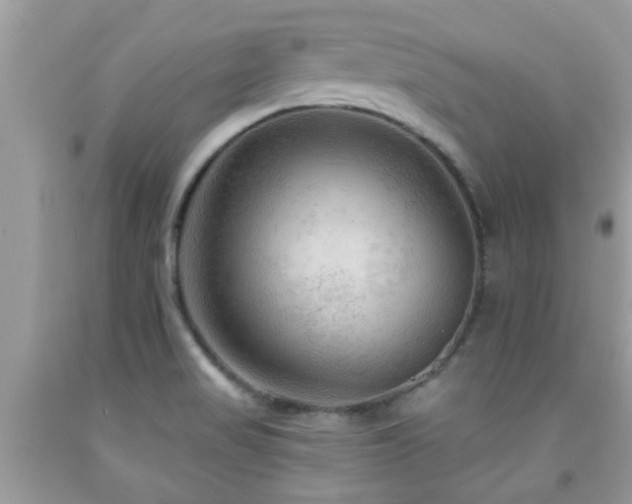 X0000092031517200709061603
