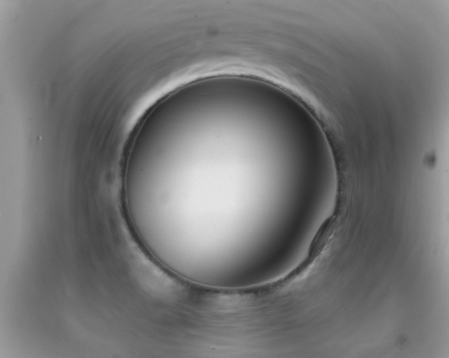 X0000092031518200709061603