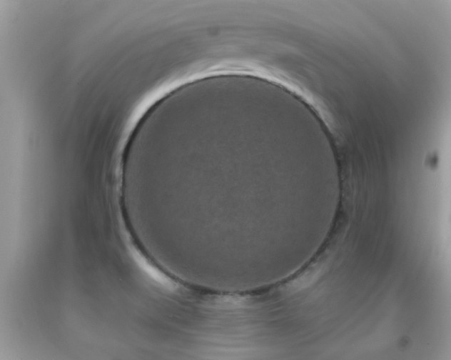X0000092031519200709061603