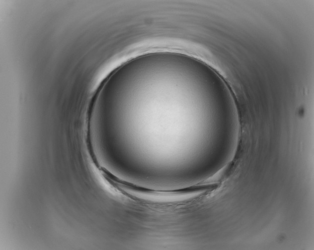 X0000092031523200709061603