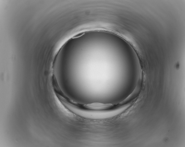X0000092031524200709061603