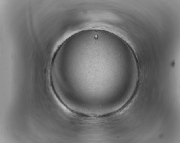 X0000092031525200709061603