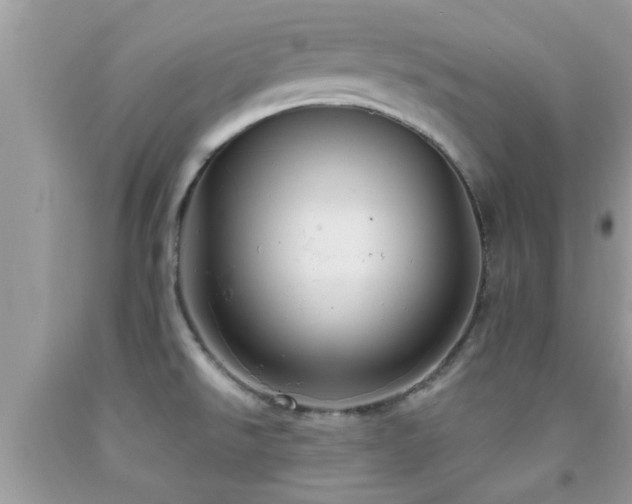 X0000092031526200709061603