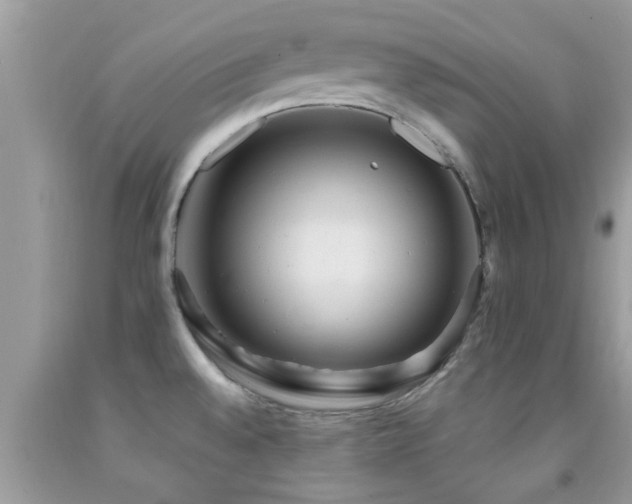 X0000092031528200709061603