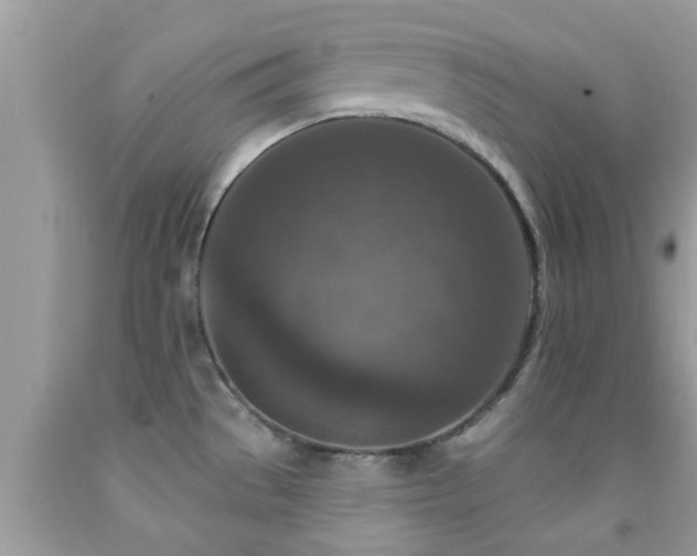 X0000092031529200709061603