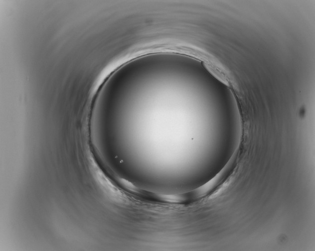 X0000092031530200709061603