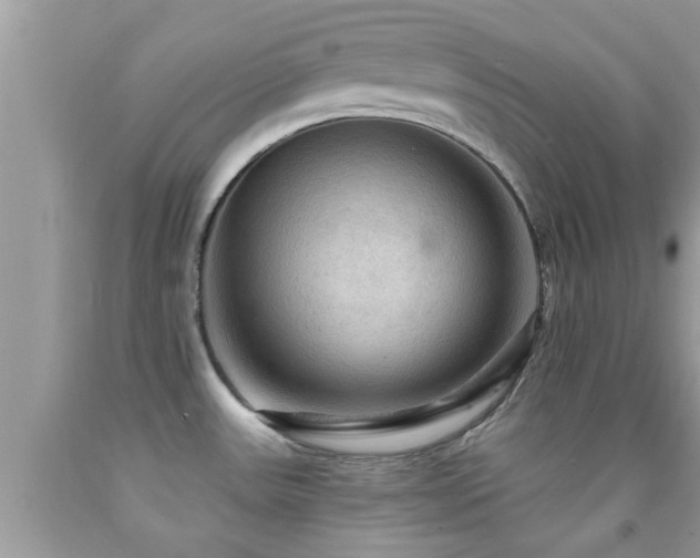 X0000092031531200709061603