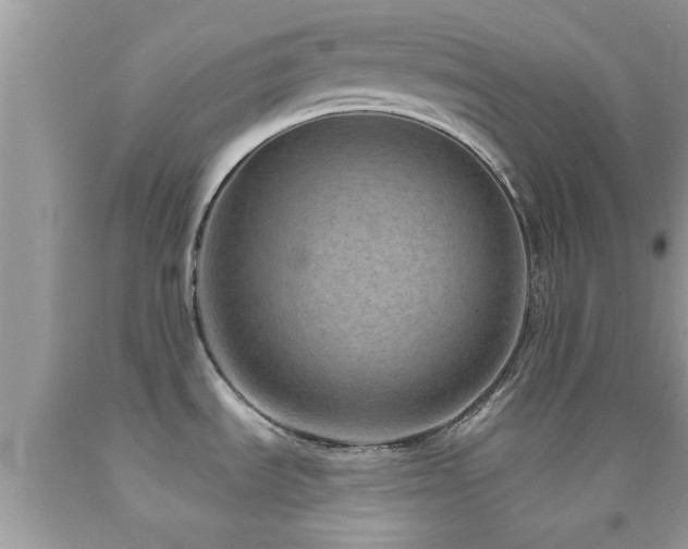 X0000092031535200709061603