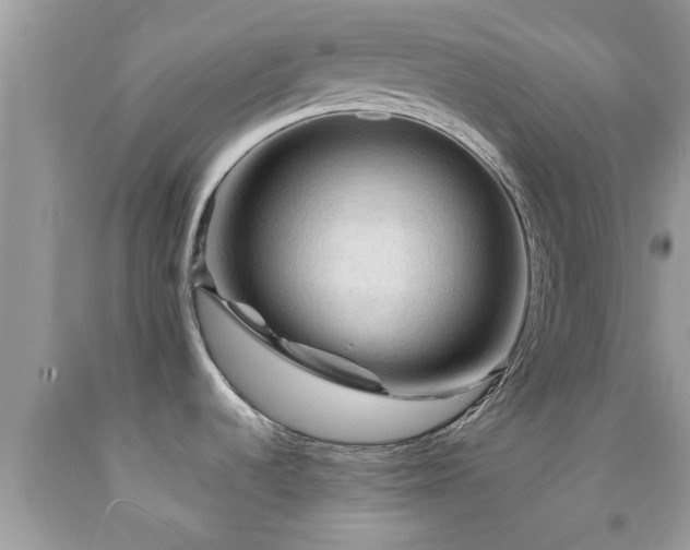 X0000092031536200709061603