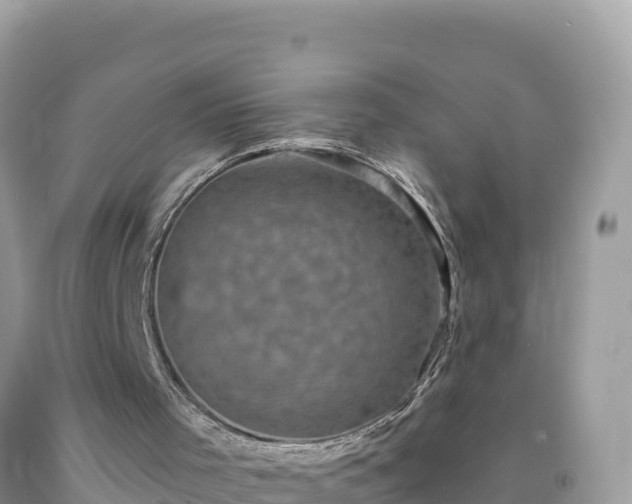 X0000092030001200709131629