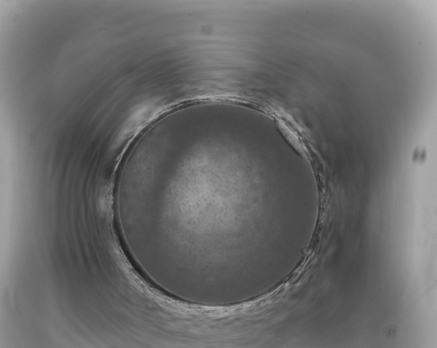 X0000092030002200709131629