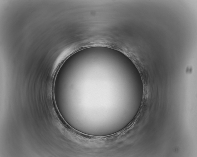 X0000092030004200709131629