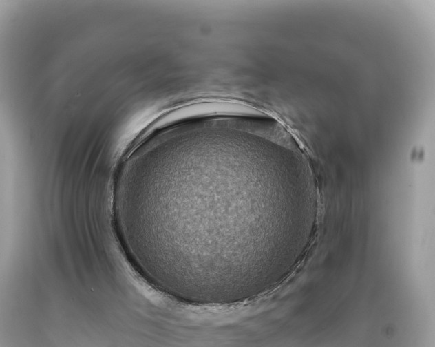 X0000092030005200709131629