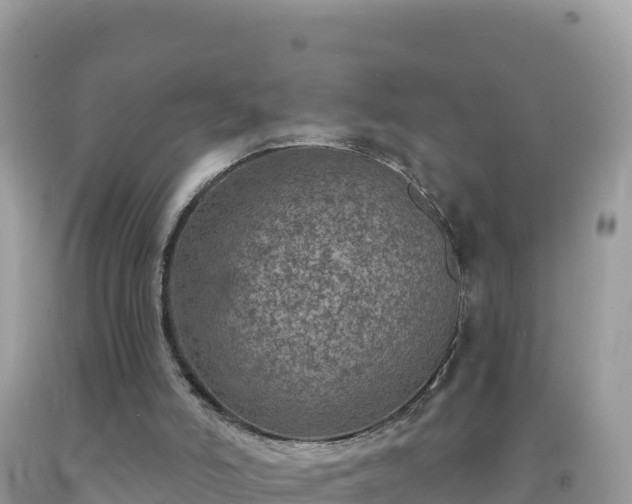 X0000092030006200709131629