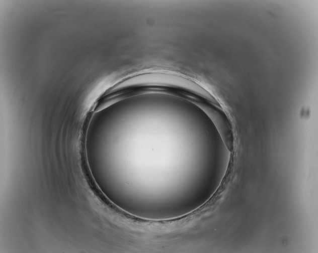 X0000092030007200709131629