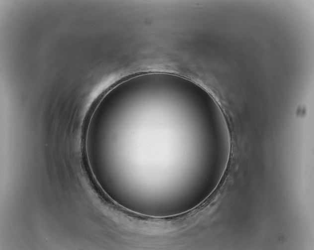 X0000092030008200709131629