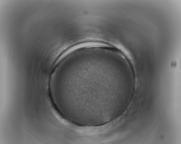 X0000092030009200709131629