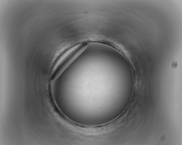 X0000092030010200709131629