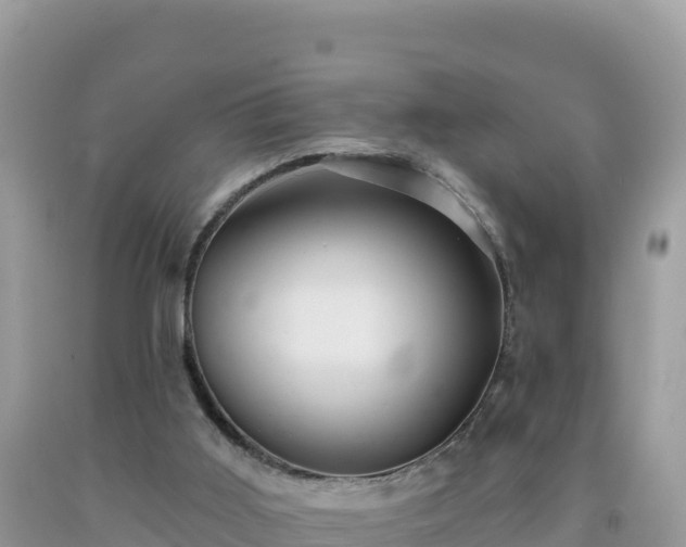 X0000092030011200709131629