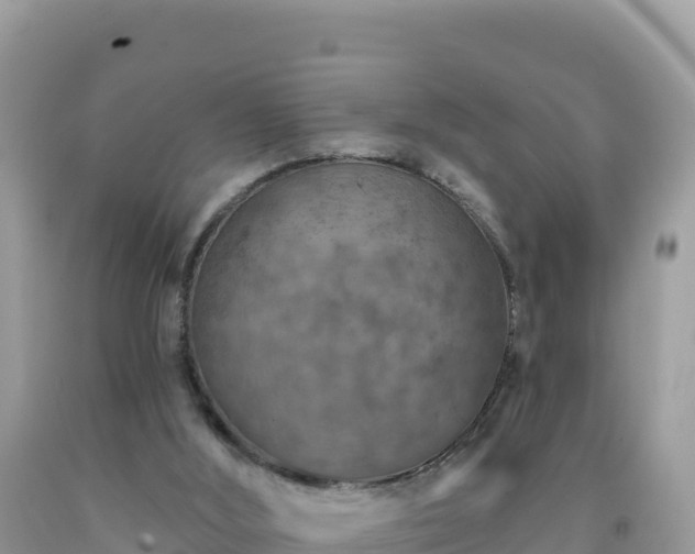 X0000092030012200709131629