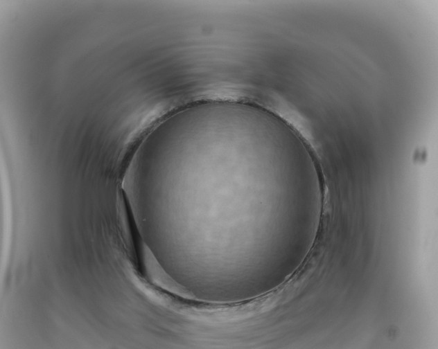 X0000092030013200709131629